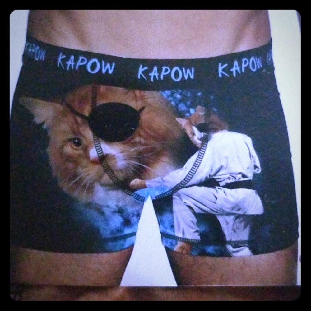 mens ninja kitty boxers